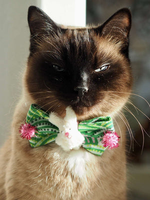 Hundeschleife - Hundeaccessoires - Osterhase - Somebunny to love