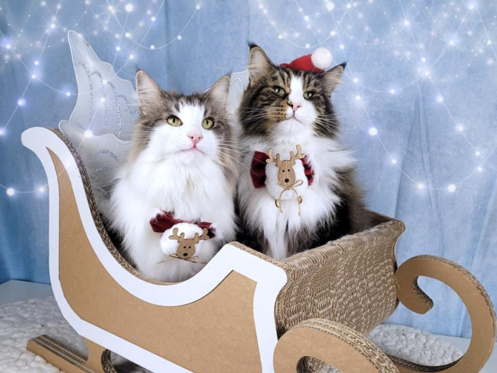 Hundeschleife - Katzenschleife - Rentier - Fleece Navidad