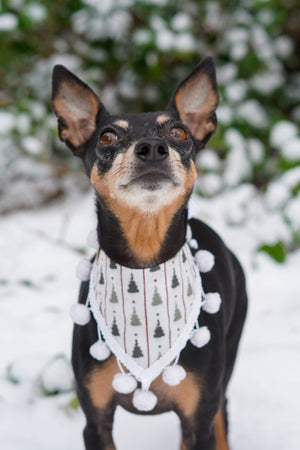 Hundehalstuch - Katzenhalstuch - Weihnachtself - All by my-elf