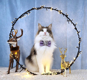 Hundeschleife - Katzenschleife - Schneeflocke - Love at frost sight