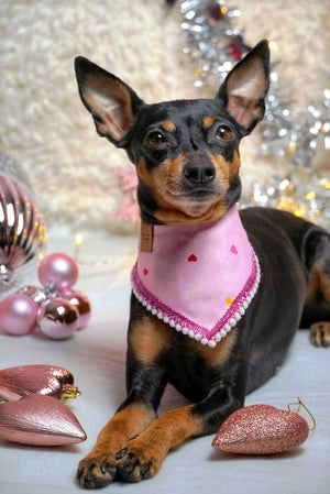 Hundehalstuch - Katzenhalstuch - Rentier - I love you deerly