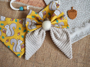 Hundeschleife - Katzenschleife - Nüsse - Nuts about you