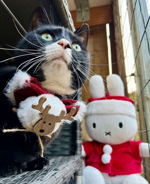 Hundeschleife - Katzenschleife - Rentier - Fleece Navidad