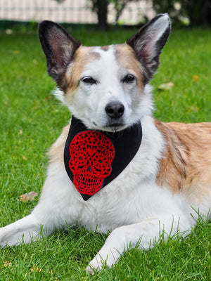 Hundehalstuch - Katzenhalstuch - Totenkopf - Red to the bone