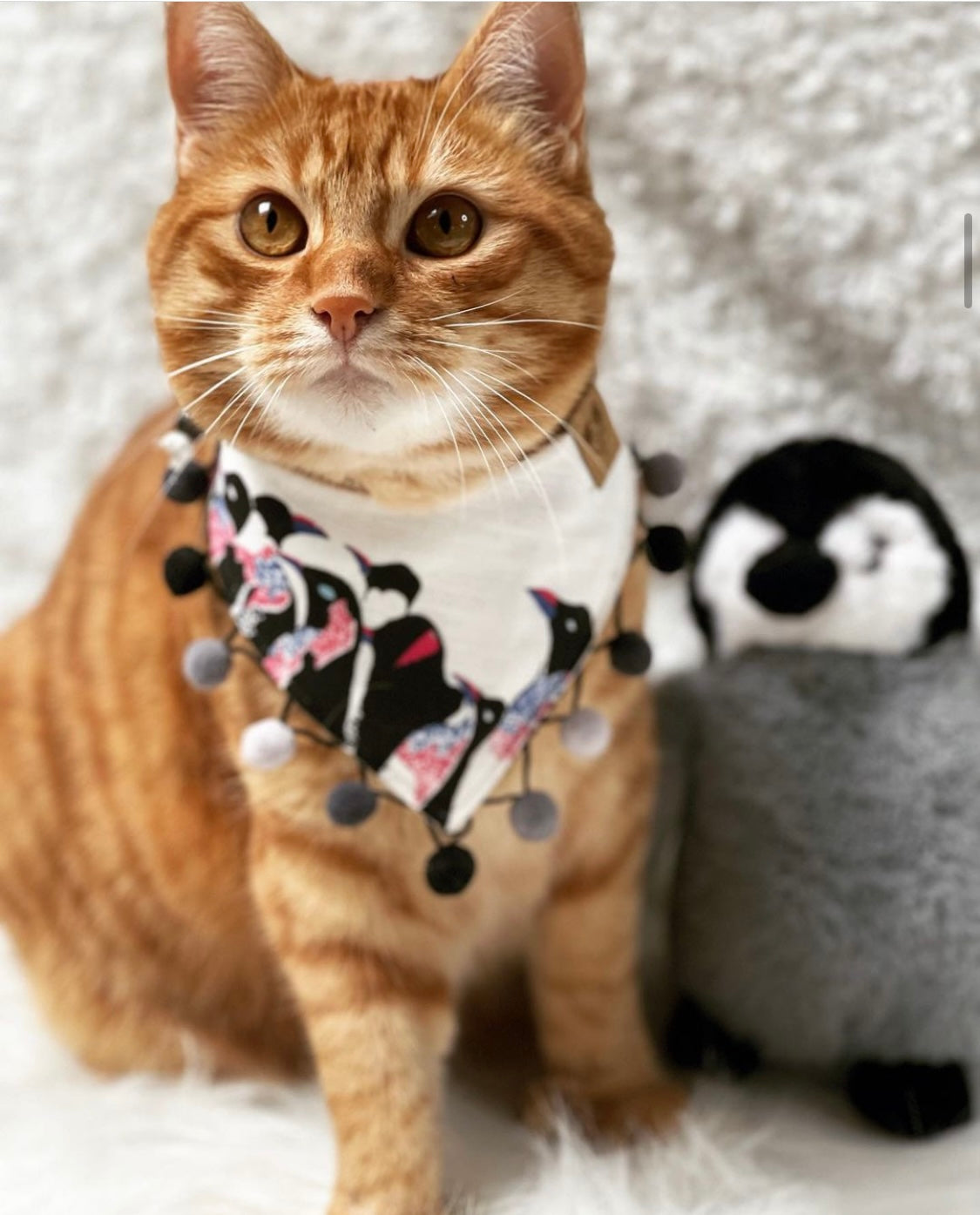 Hundehalstuch - Katzenaccessoires - Pinguin - Antarctica
