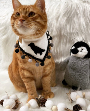 Hundehalstuch - Katzenaccessoires - Pinguin - Antarctica