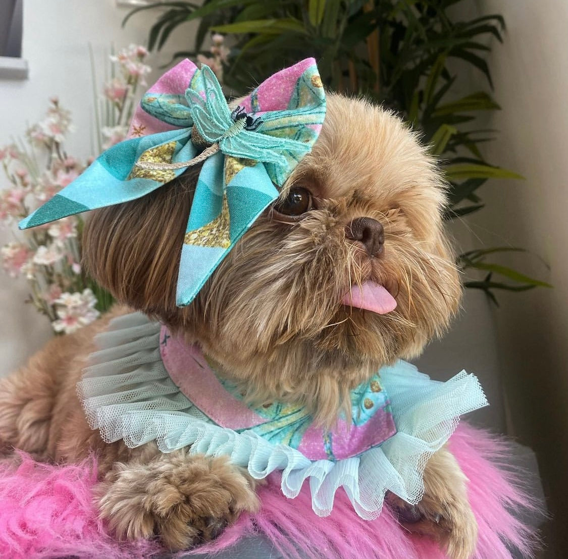 Süßer Hund trägt Hundeaccessoires in pink und türkis mit Libellen