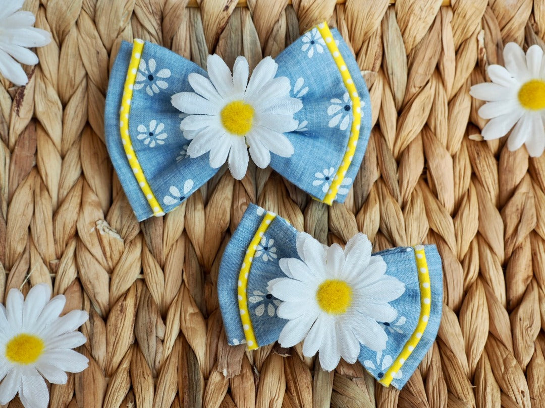 Blaue Hundeschleife und Katzenaccessoires mit Gänseblümchen