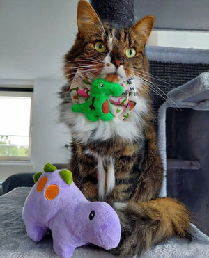Katzenmodel trägt Katzenschleife mit grünem Dino aus Plüsch