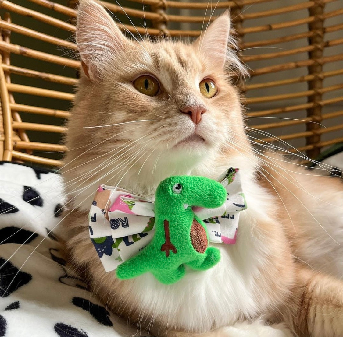 Katzenmodel trägt weiße handgemachte Katzenschleife mit grünem Dino