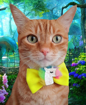 Katzenmodel trägt Katzenschleife in neongelb mit glitzerndem Einhorn