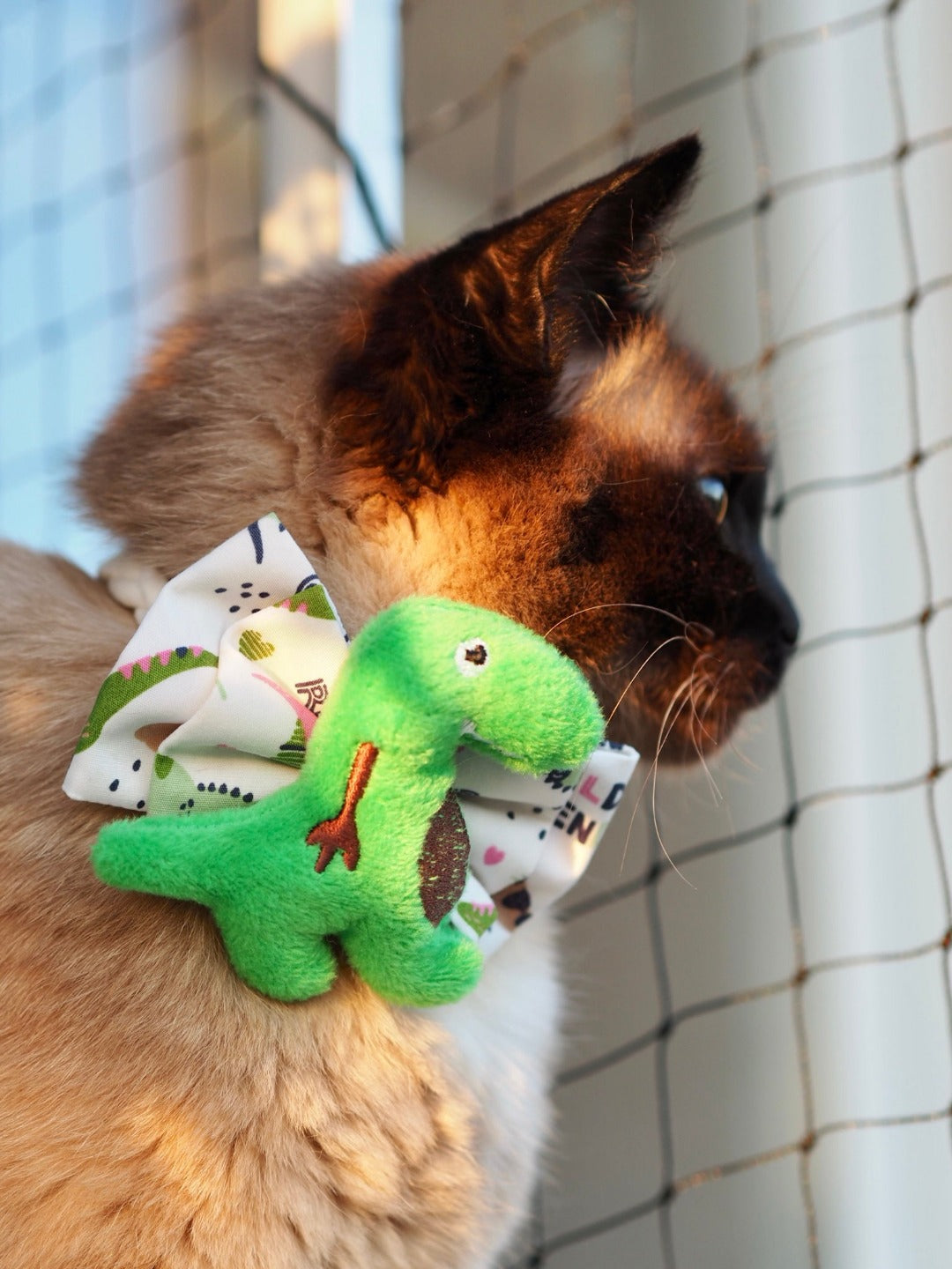 Siamkatze trägt Katzenschleife in weiß mit grünem Dino