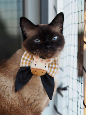 Siamkatze trägt Katzenschleife in gelb und schwarz mit Giraffe beim Fotoshooting