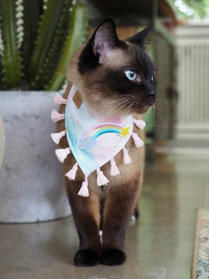 Katzen Halstuch * Katzenhalstuch * Katzen Bandana * Regenbogen * rosa * Kittyblush