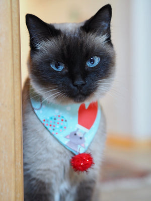 Katzenhalstuch - Katzenbandana - Weihnachten - I glove mew