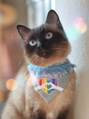 Dog Bandana * Cat Bandana * Love is Love