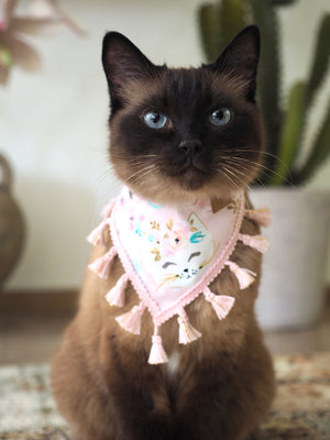 Katzen Halstuch * Katzenhalstuch * Katzen Bandana * Regenbogen * rosa * Kittyblush
