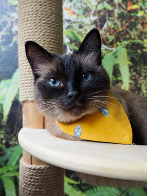 Katzenhalstuch - Katzenaccessoires - Leopard - On the Prowl