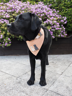 Hundehalstuch - Hundebandana - Labrador Retriever - Labradorable