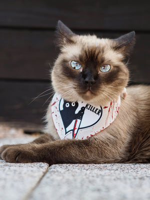 Katzenhalstuch - Katzenbandana - Halloween - Killer Cat