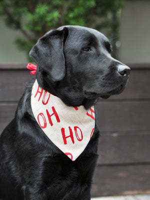 Weihnachten * Hunde Halstuch * Hundehalstuch * Katzen Halstuch * Katzenhalstuch * kariert * rot * beige * Ho-ly moly!