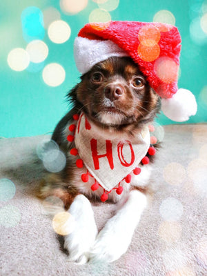 Weihnachten * Hunde Halstuch * Hundehalstuch * Katzen Halstuch * Katzenhalstuch * kariert * rot * beige * Ho-ly moly!