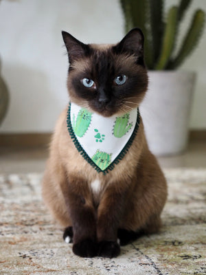 Katzenhalstuch - Katzenaccessoires - Kaktus - Catcus