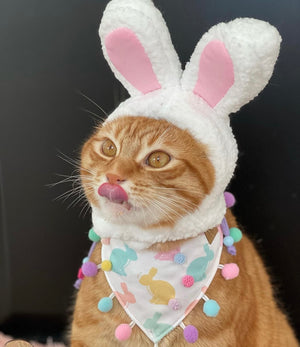 Easter * Dog Bandana * Cat Bandana * Bunny * Too hip to hop
