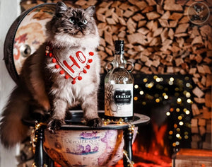 Weihnachten * Hunde Halstuch * Hundehalstuch * Katzen Halstuch * Katzenhalstuch * kariert * rot * beige * Ho-ly moly!