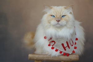 Weihnachten * Hunde Halstuch * Hundehalstuch * Katzen Halstuch * Katzenhalstuch * kariert * rot * beige * Ho-ly moly!