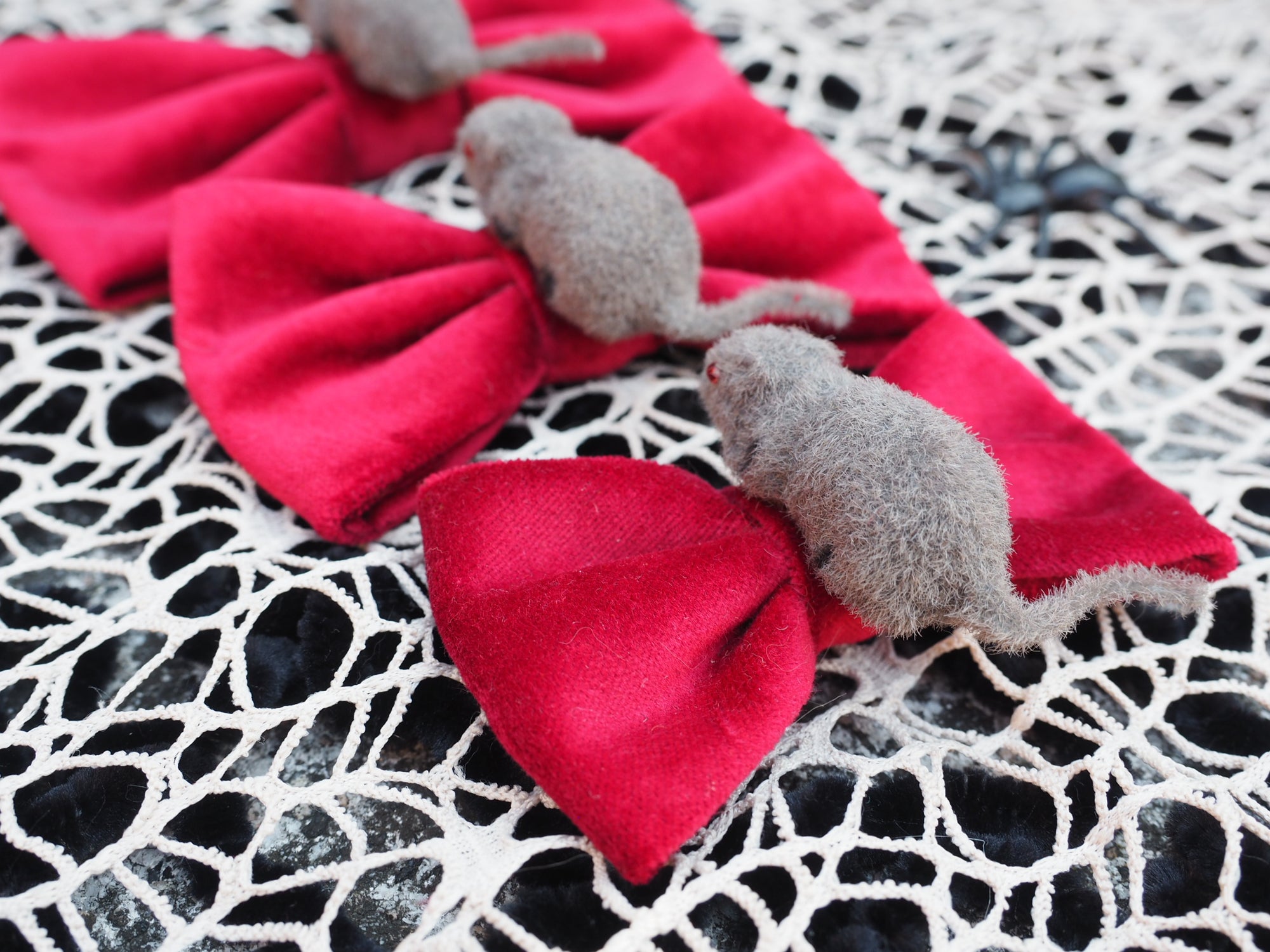 Halloween Maus rot Schleife Hundeschleife Katzenschleife handgemacht Katzenmode Katzenaccessoires Hundemode Hundeaccessoires individuell umweltfreundlich