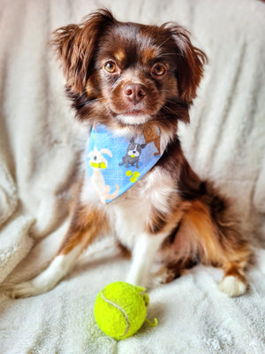 Hundehalstuch - Hundebandana - Jeans - Ball is life