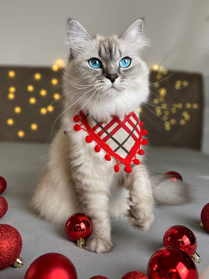 Weihnachten * Hunde Halstuch * Hundehalstuch * Katzen Halstuch * Katzenhalstuch * kariert * rot * beige * Ho-ly moly!