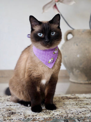 Katzen Halstuch * Katzenhalstuch * Katzen Bandana * Punkte * Blumen * lila * Purrple-Love