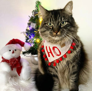 Weihnachten * Hunde Halstuch * Hundehalstuch * Katzen Halstuch * Katzenhalstuch * kariert * rot * beige * Ho-ly moly!